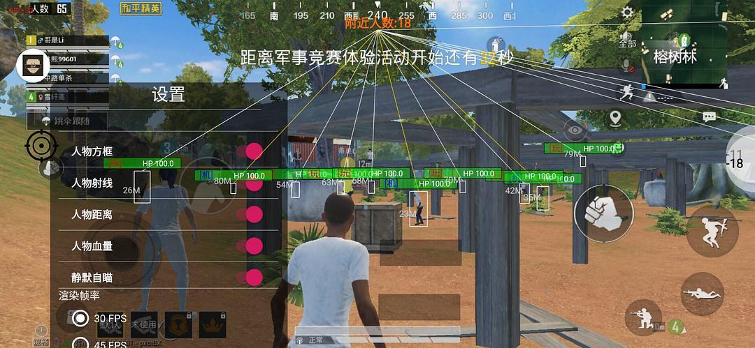 透视和平精英GG